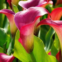 ����� ������� ������ 12/14