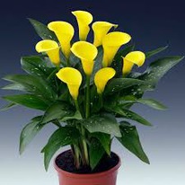 ����� ������� ���� 12/14