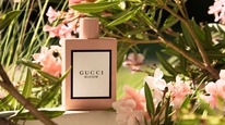 Gucci Bloom ������ 25% �� 31.05