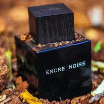 Lalique Encre Noire  25%  31.05
