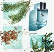 Tiffany & Co  Love For Him  25%  31.05