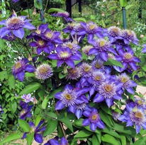 �������� ������ ��� �9