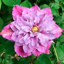 �������� ���� �9