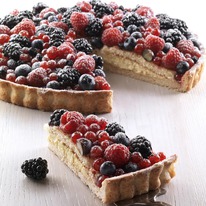 BINDI ���� ������ ����� (������), ���������