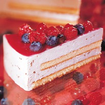 BINDI ���� ���� ���������� � ������� ������� (������), ���������