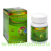 ������� ���� ���� 30 ��. ���