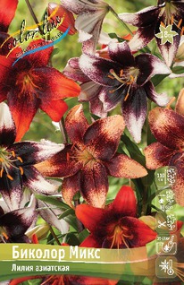 ����� ������� ����, 12/14