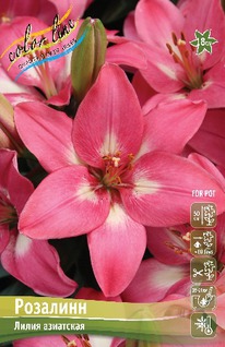 ����� ��������, 10/12