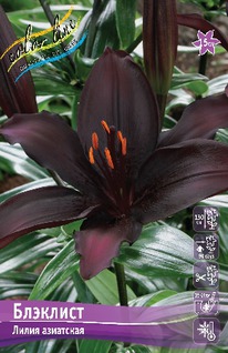 ����� ��������, 12/14