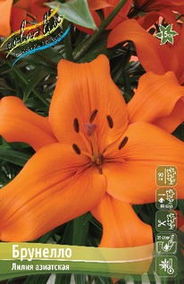 ����� ��������, 10/12