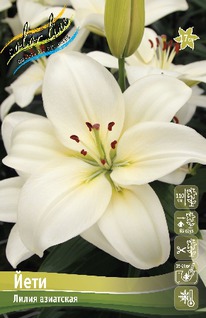 ����� ����