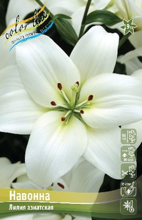 ����� �������, 12/14