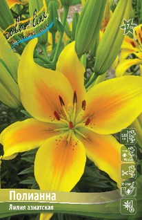 ����� ��������, 12/14