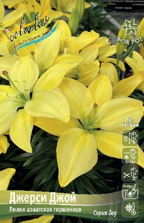 ����� ������ ����,10/12