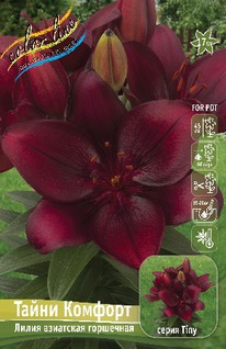 ����� ����� �������, 10/12