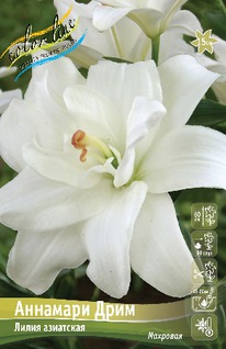 ����� �������� ����, 12/14