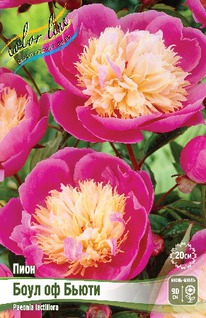 ���� ���� �� ����� 2/3n