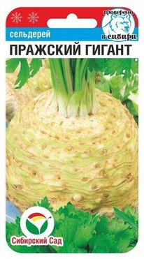 ��������� �������� ������ ��������