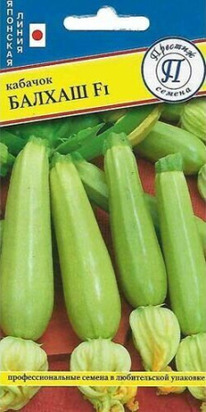 ������� ������ F1