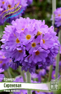 ������� ����������� ���������