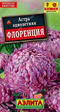 ����� ���������