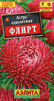 ����� ����� �����-������