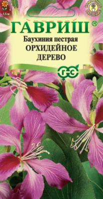 �������� ���������� ������