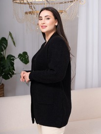 ESENIA �������� ������� ������������� - ׸����