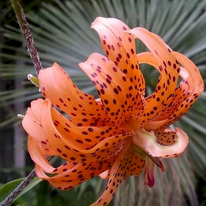 ����� ����� ����� �������� 12/14