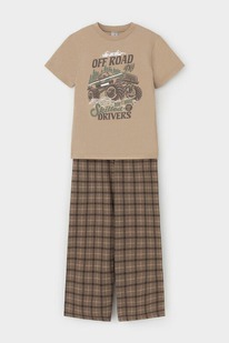 Crockid     1599-1/. 