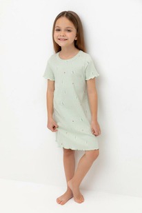 Crockid      1180/ ,