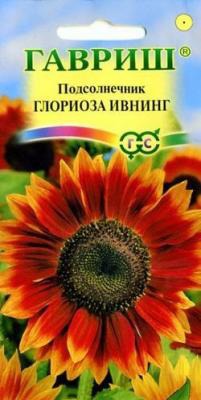 �������� ������ ������������