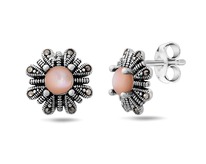 ������, �������� , ��������� �������, SL-LNJ338