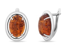 ������, ������, ���2054