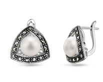 ������, ������ , ��������, SL-AGA528