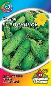 ������ �������� F1