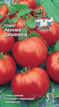 ����� ������ ��������