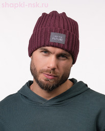 017 1S/1 IF SHM ������ ������ ������� (58-60)