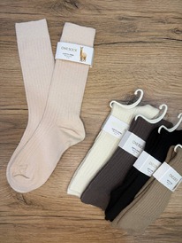 �����, 1 ���� (������ ����)