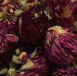 �������� 50 ��