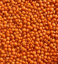 �������� ������� 1 ��