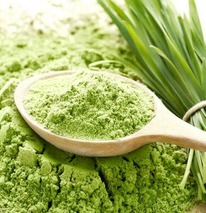 ����������� 50 ��.