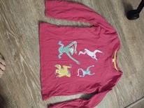 �������� Acoola