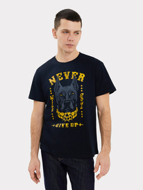 Mark Formelle   111831 111831  +3 75369