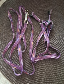 ������ � �������