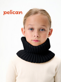 Pelican ���� (������ "����") ��� ����� UKFX3385//4 ������