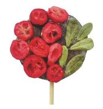 ������ ������� � �����