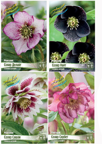 ��������� ����� �����