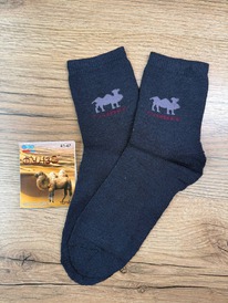 �����, 1 ���� (�����, ��������� ������)