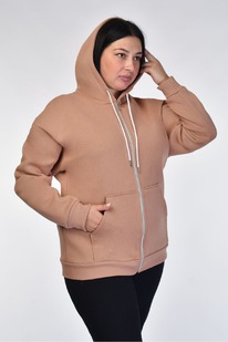 ��������� � 431